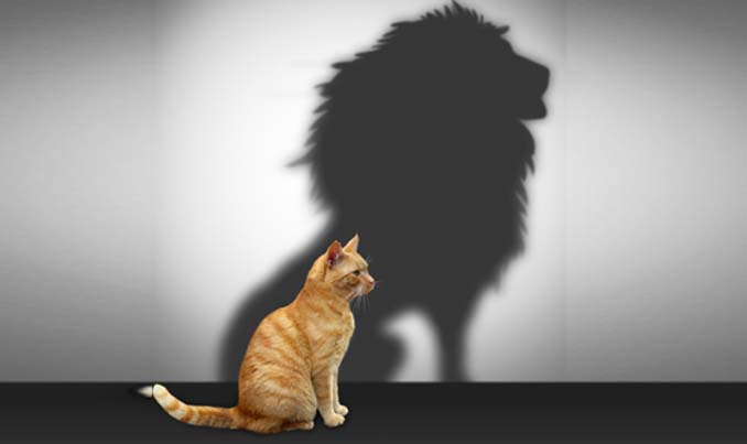 Self Confidence
